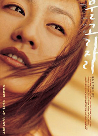 물고기자리 이미지