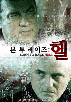 레이즈 이미지