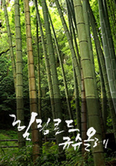 올레 이미지