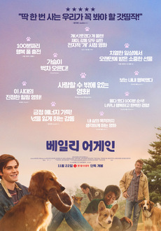 어게인생 이미지