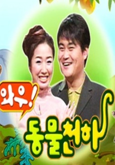 와우미디어 이미지
