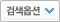 검색옵션