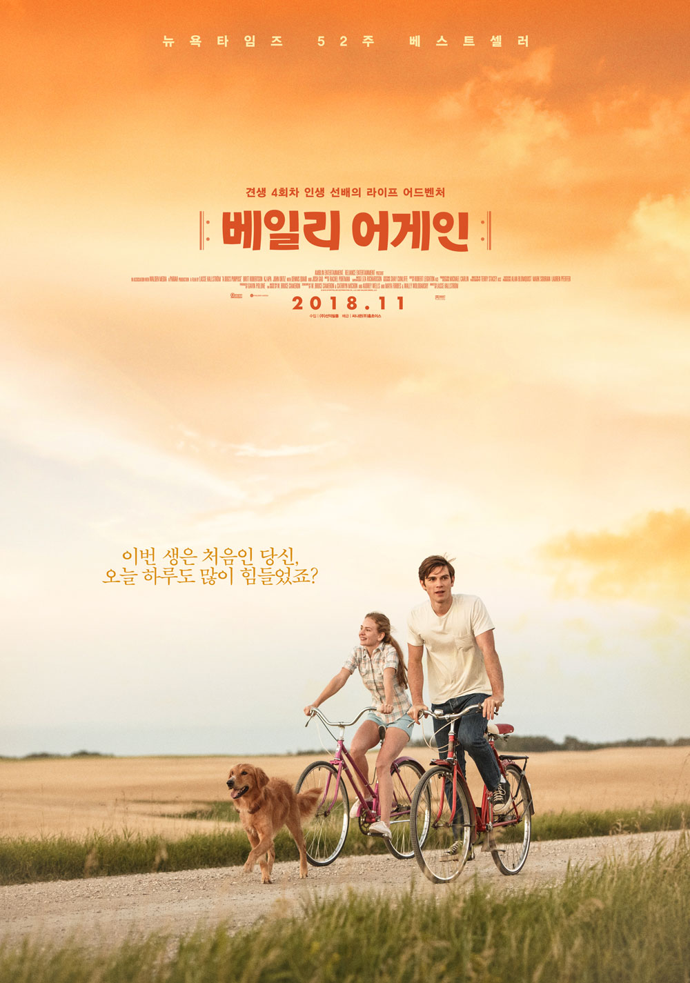 베일리 어게인 A Dogs Purpose 상세정보 씨네21