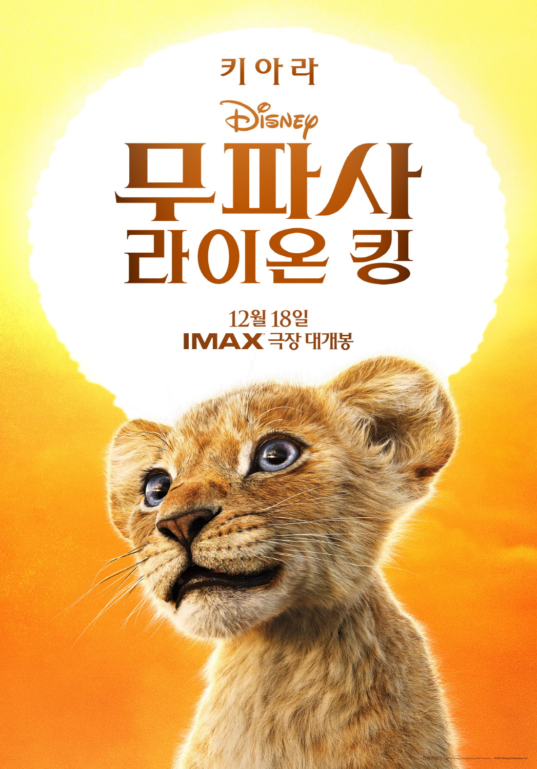 무파사: 라이온 킹 (Mufasa: The Lion King) 상세정보 | 씨네21