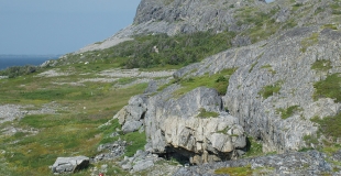 [21세기 영화란 무엇인가?] 바람을 보여다오, 침묵을 들려다오 - 현대 다큐멘터리가 풍경을 도입하는 방식의 진화