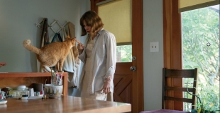 [남다은 평론가의 RECORDER] 어제와 다른 오늘, <쇼잉 업>