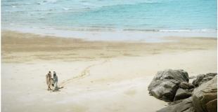 [비평] 불가항력의 섬, 오진우 평론가의 <바얌섬>