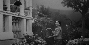 [남다은 평론가의 RECORDER] 신비로운 이미지, 도취할 수 없는 풍경