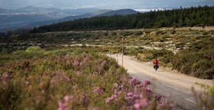 [박 로드리고 세희의 초소형 여행기] 자전거를 탄 순례자 둘