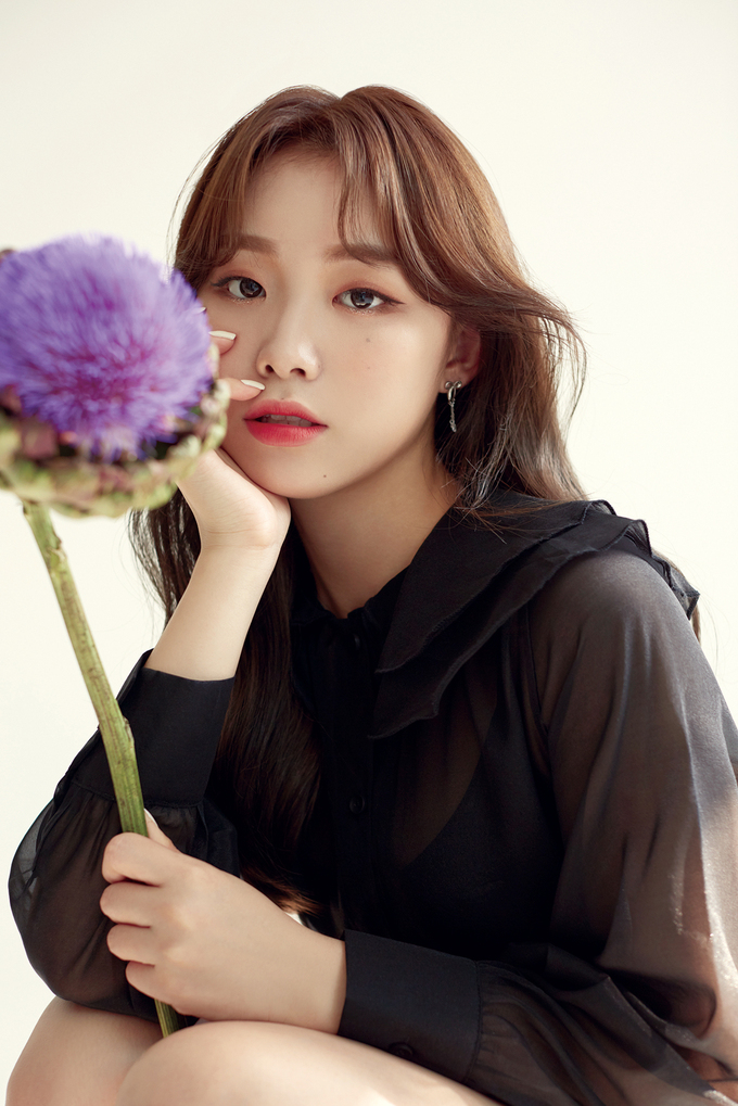 일진란제리 이미지